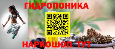гашик Обнинск