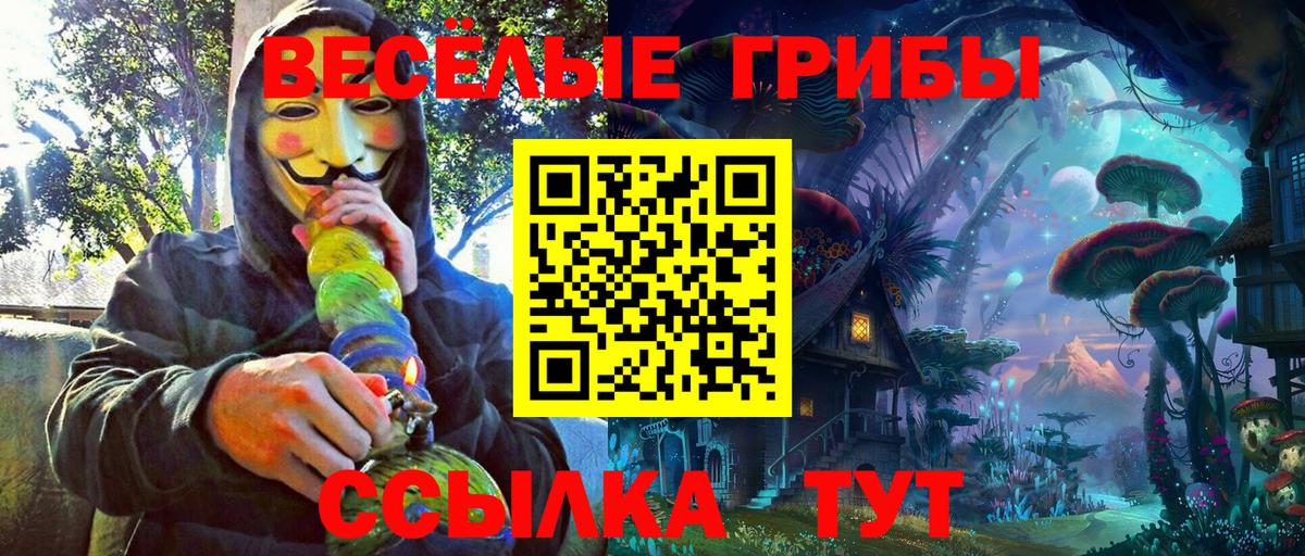 Татарск  Галлюциногенные грибы Psilocybe  Вход с VPN  Псилоцибиновые грибы ЛСД 